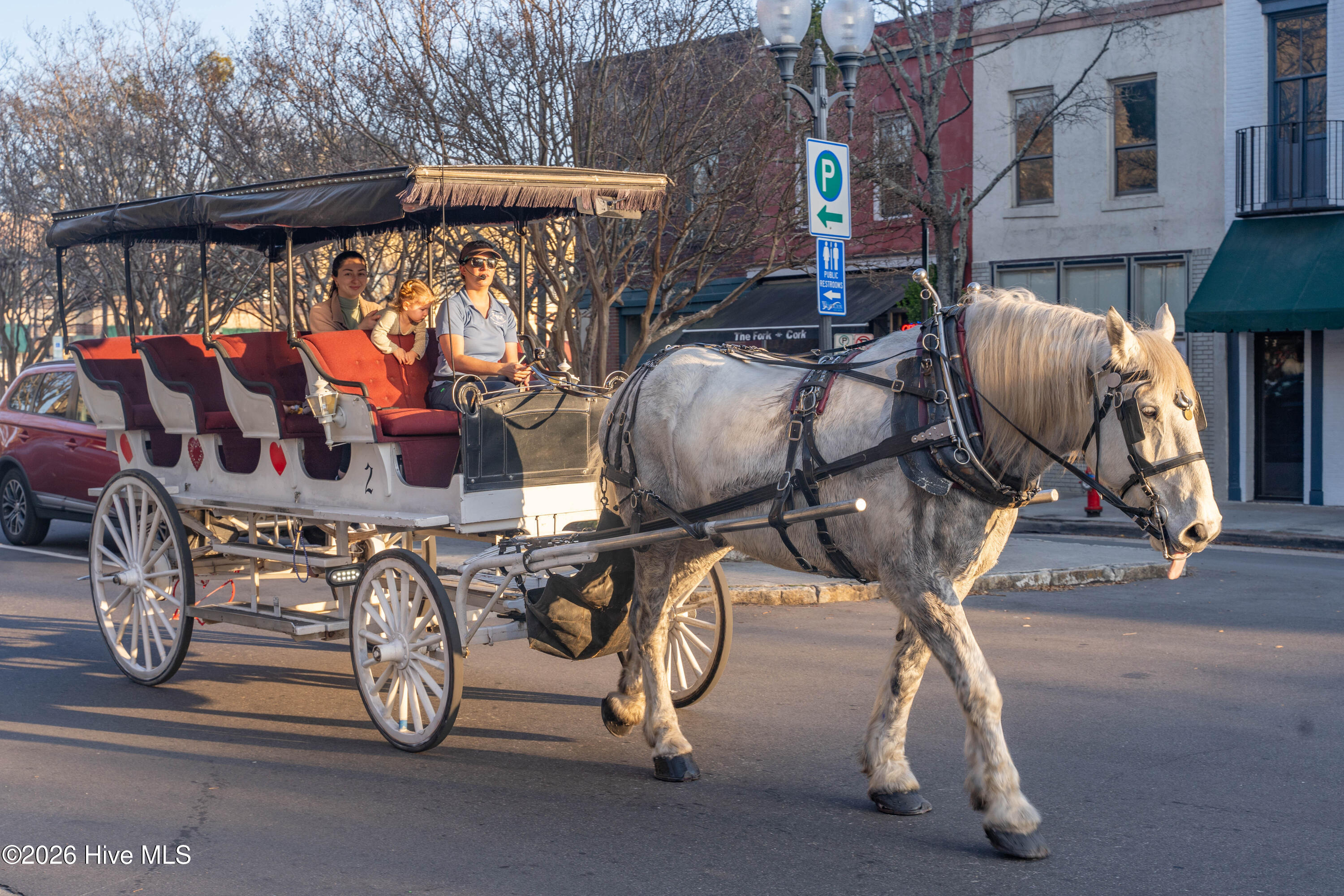 100555401 | Photo 39