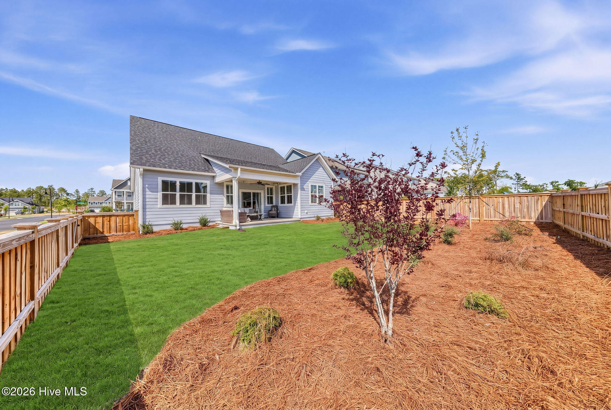 100567924 | Photo 22