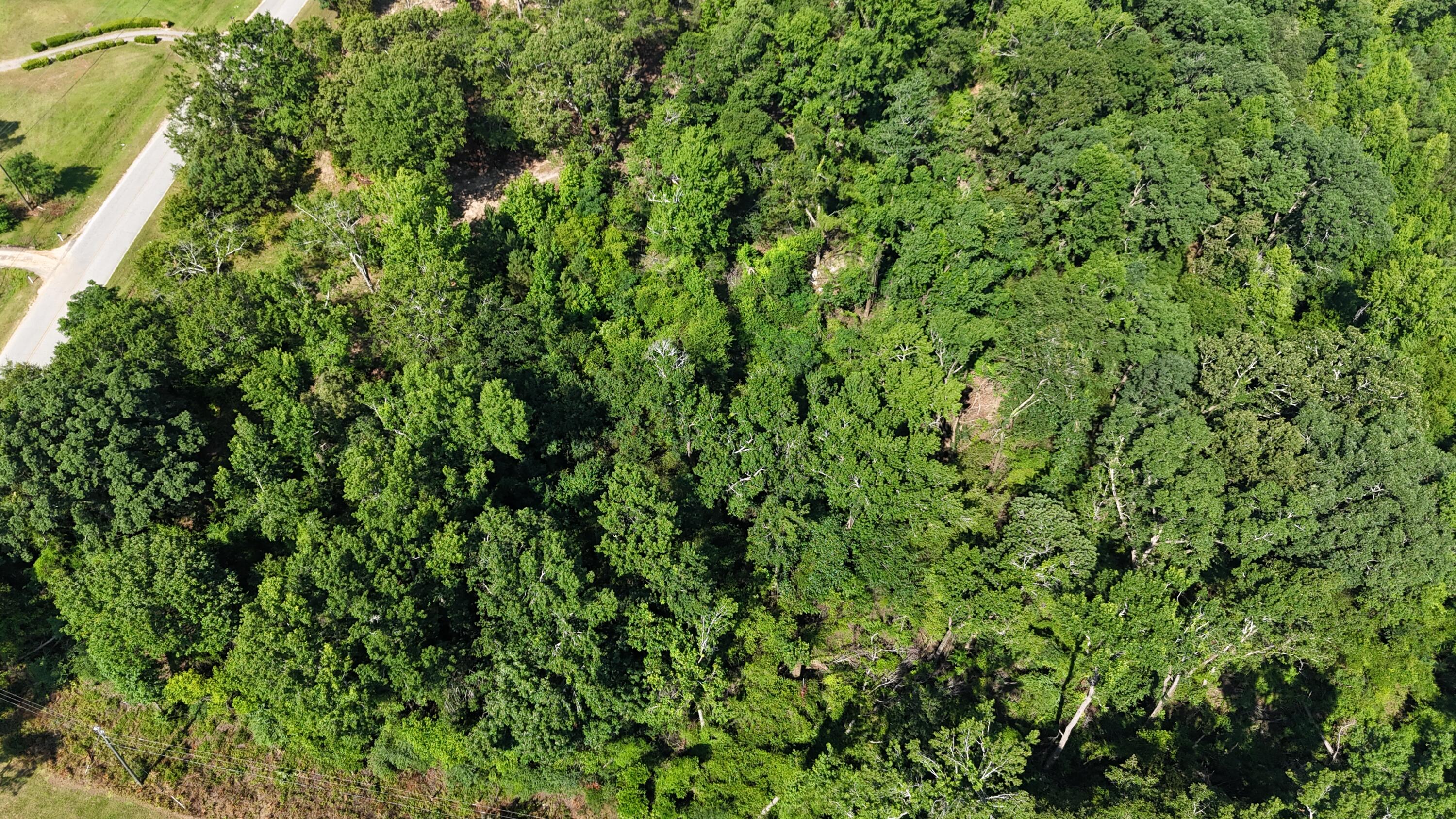 2039 Mcdade Farm Road, Hephzibah, GA, 30815