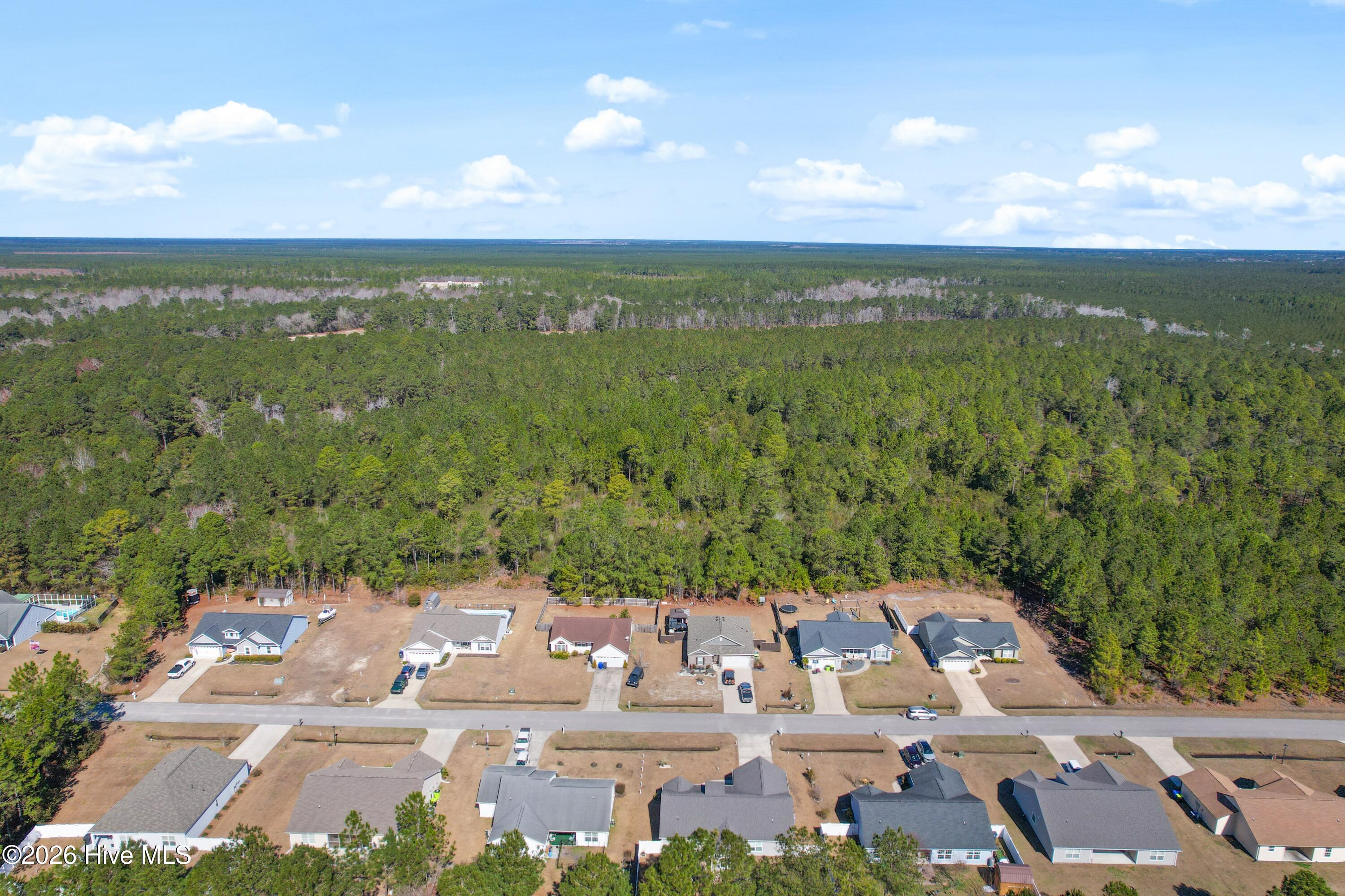 100556546 | Photo 43