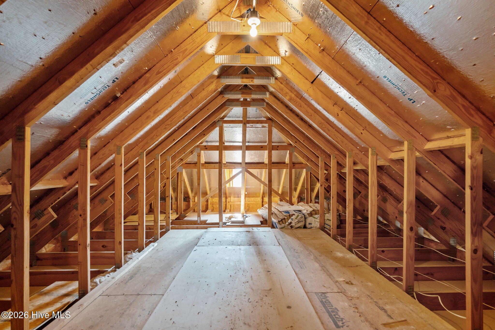 100563487 | Photo 29