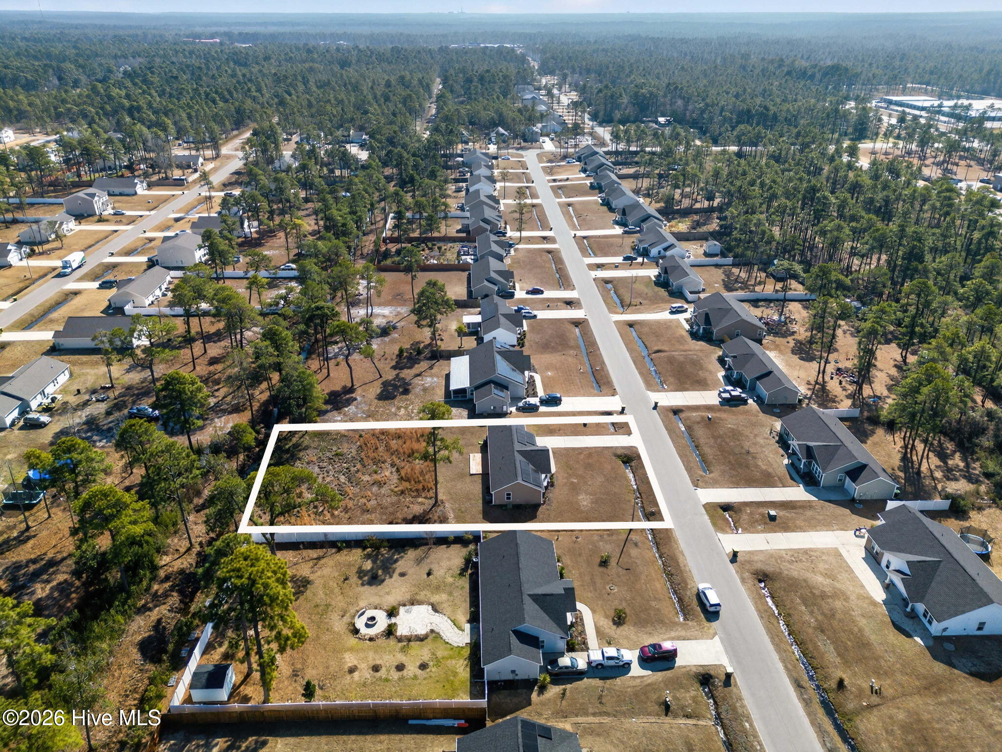 100553620 | Photo 43