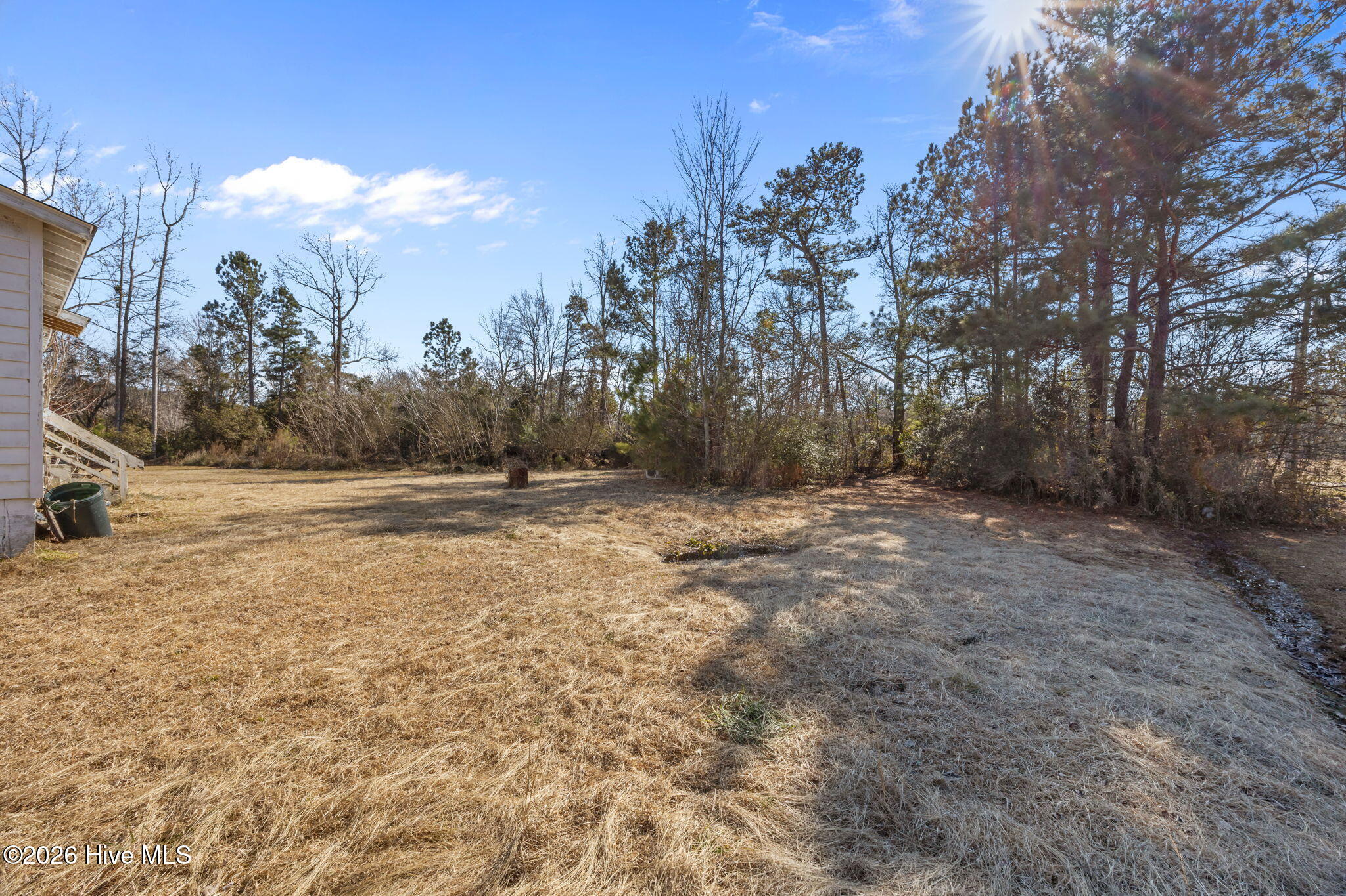 34-web-or-mls-0C0A2697