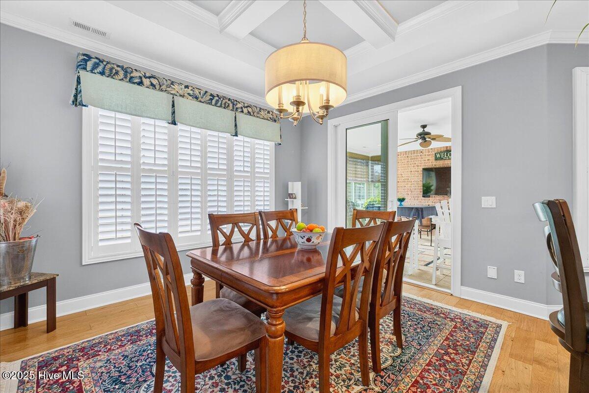 100534521 | Photo 17