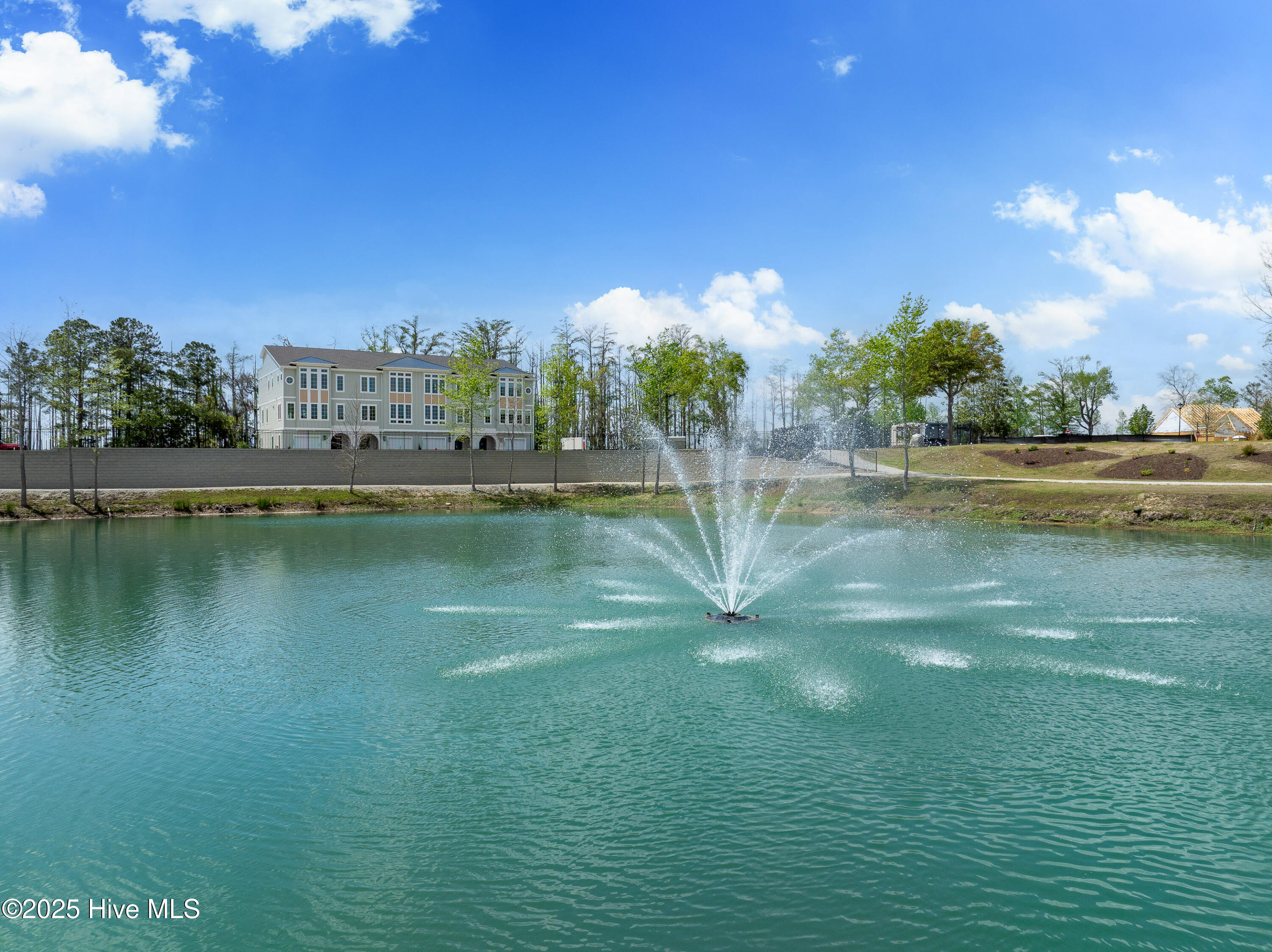 100545515 | Photo 11