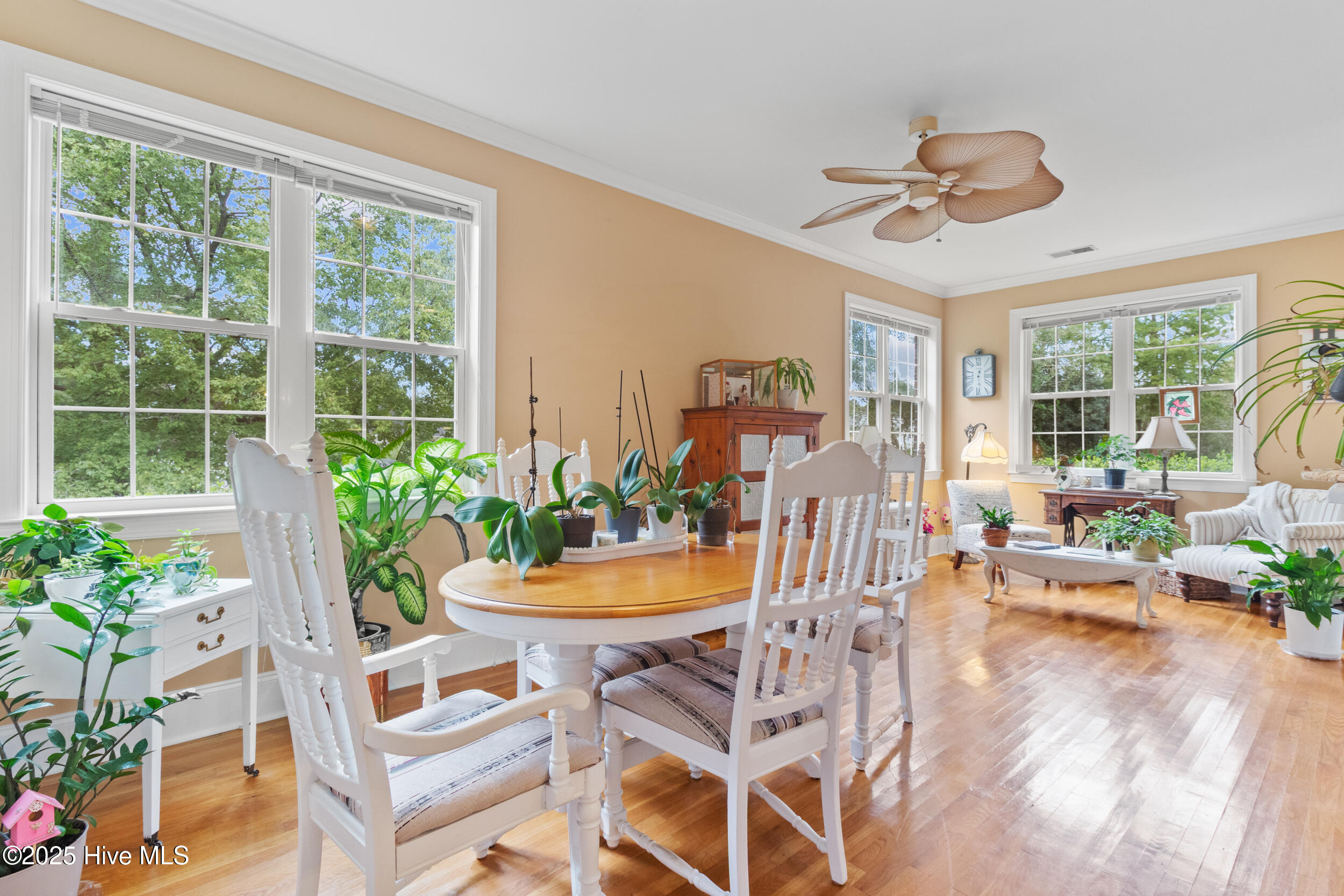 100536659 | Photo 27