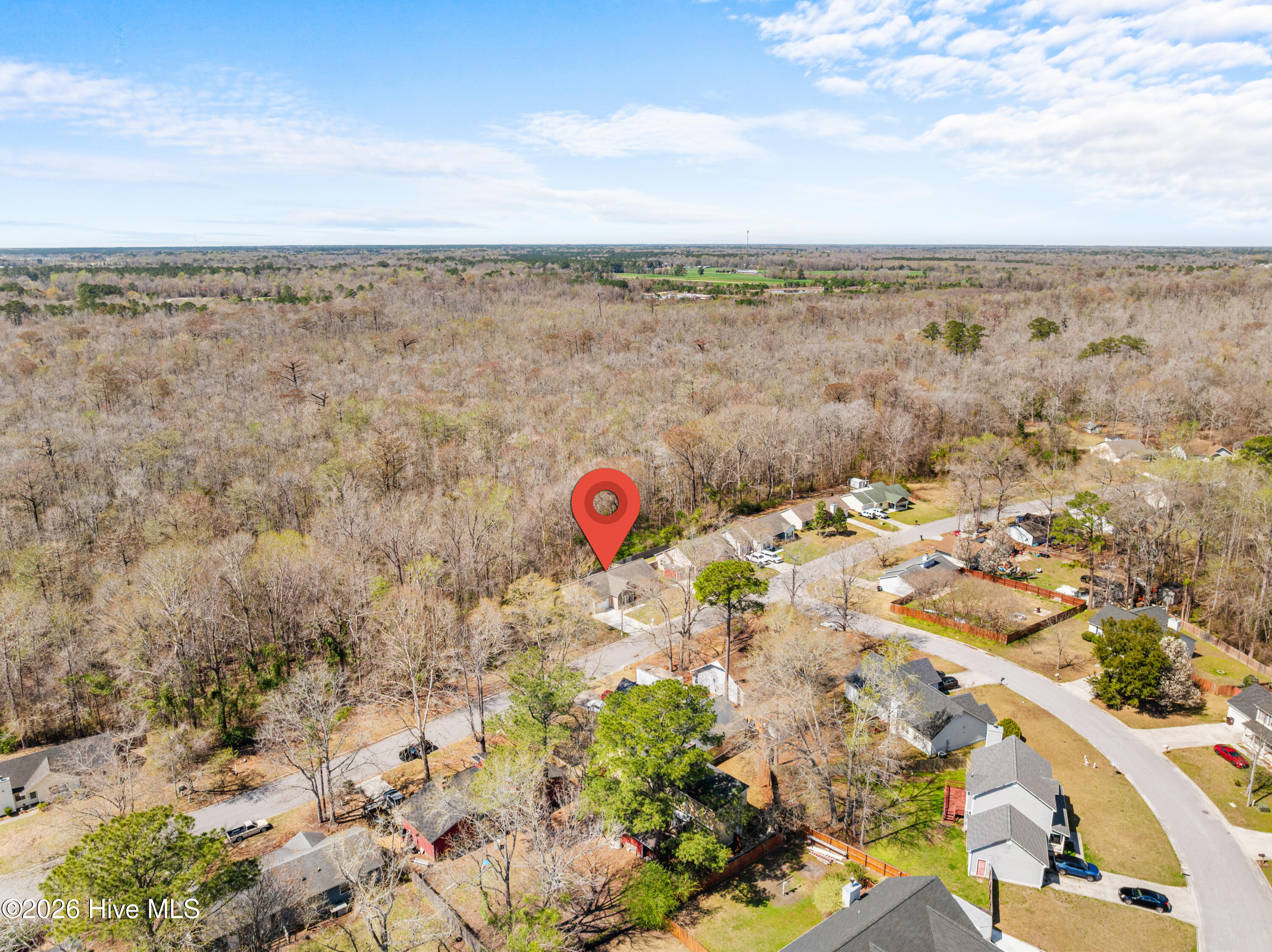 100560516 | Photo 45