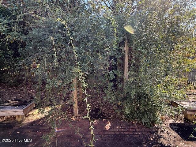 100544577 | Photo 20