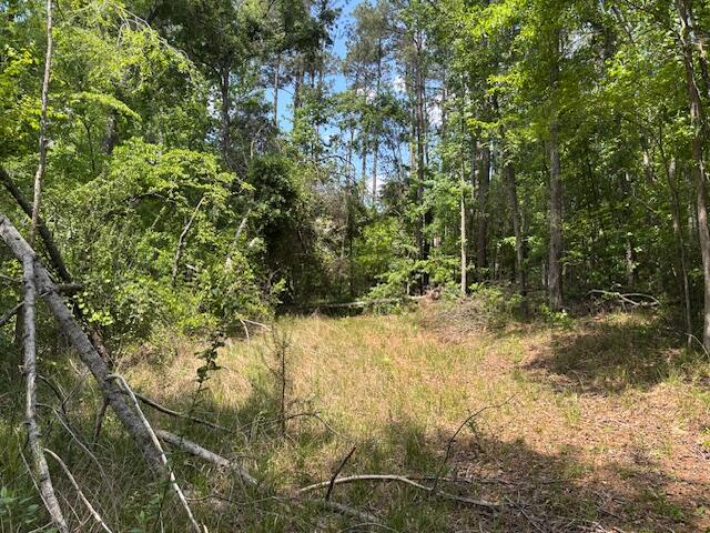 2064 Glenn Falls, Grovetown, GA, 30813