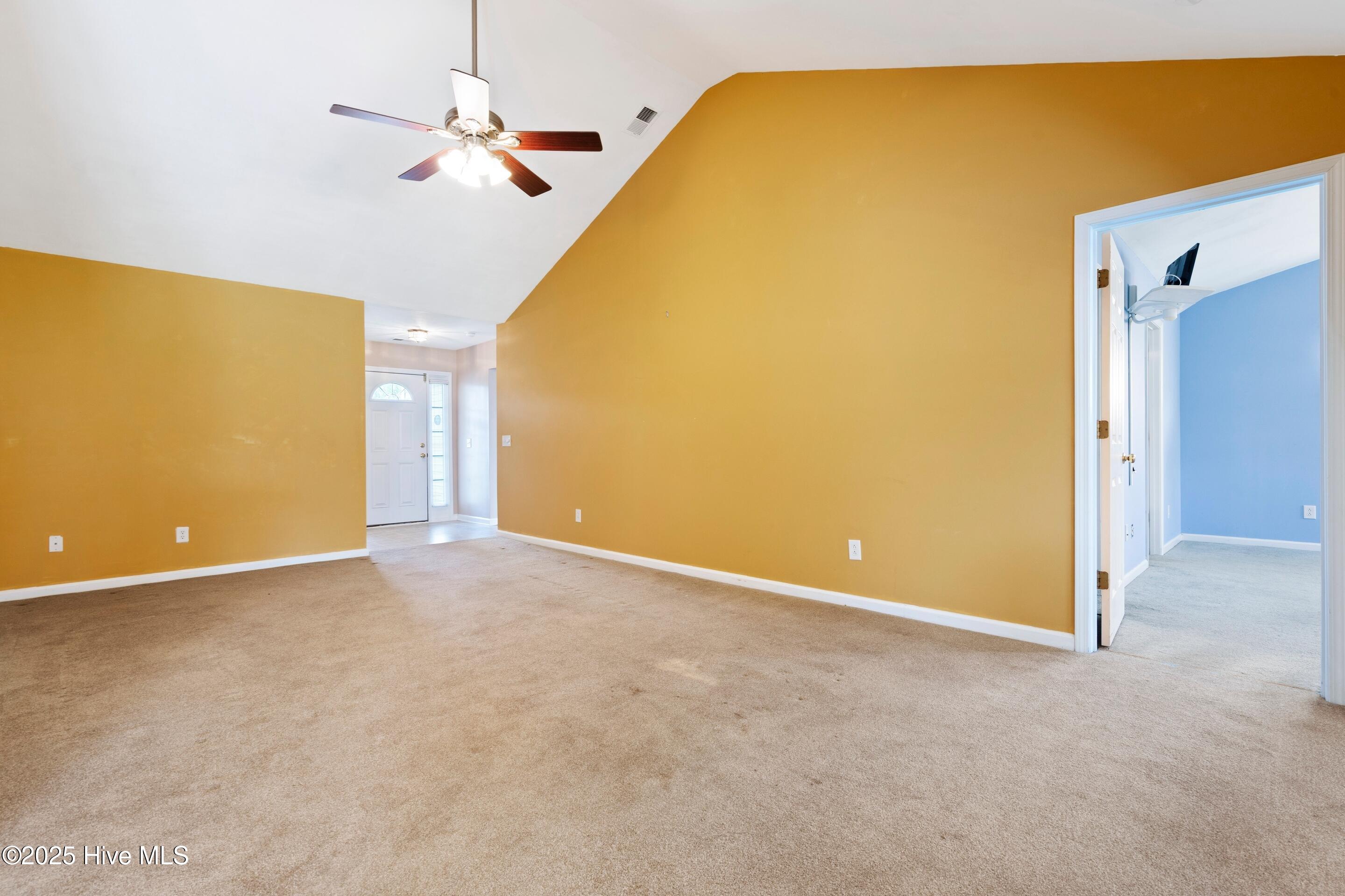 100509496 | Photo 32