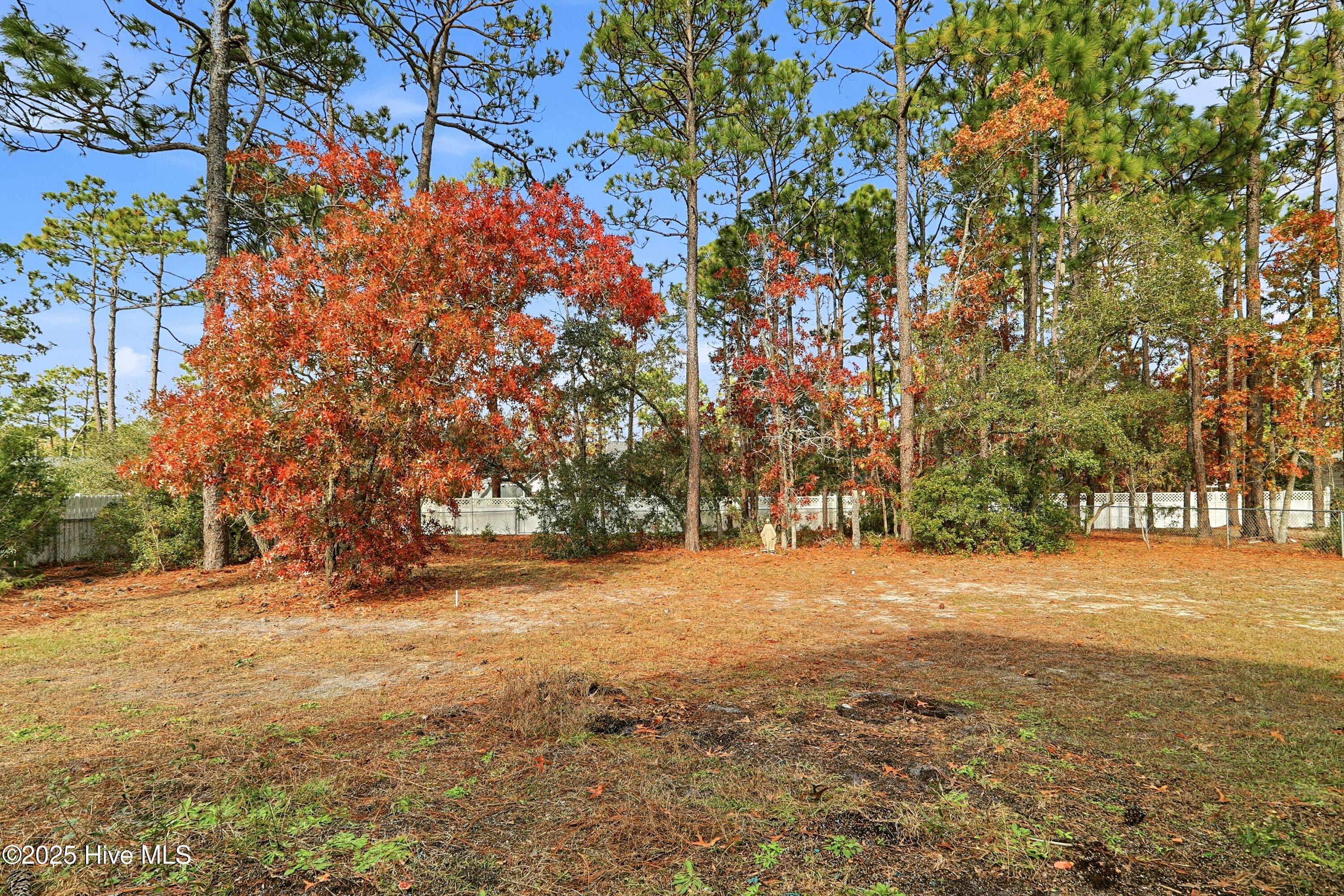 100543603 | Photo 46