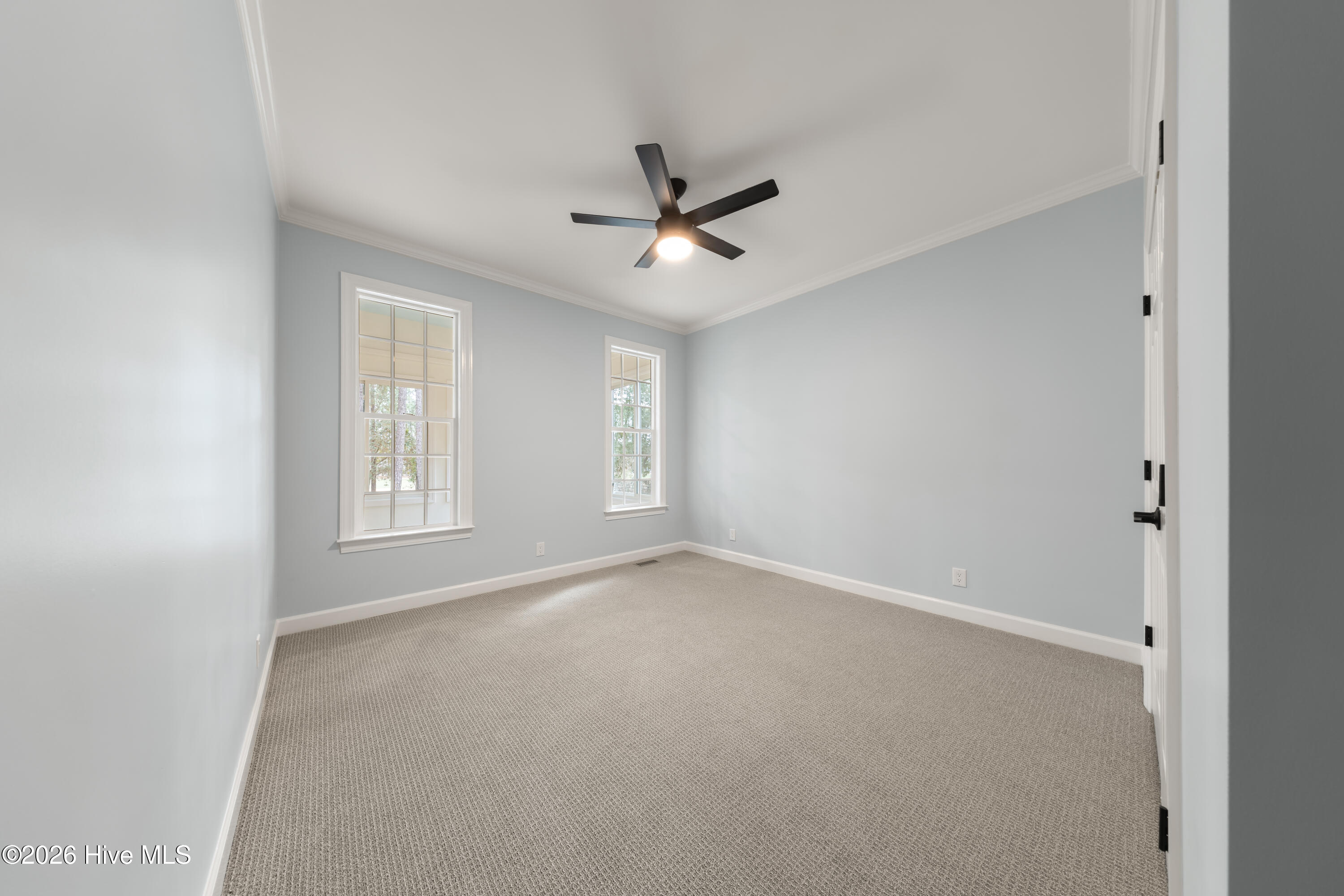 100555954 | Photo 39