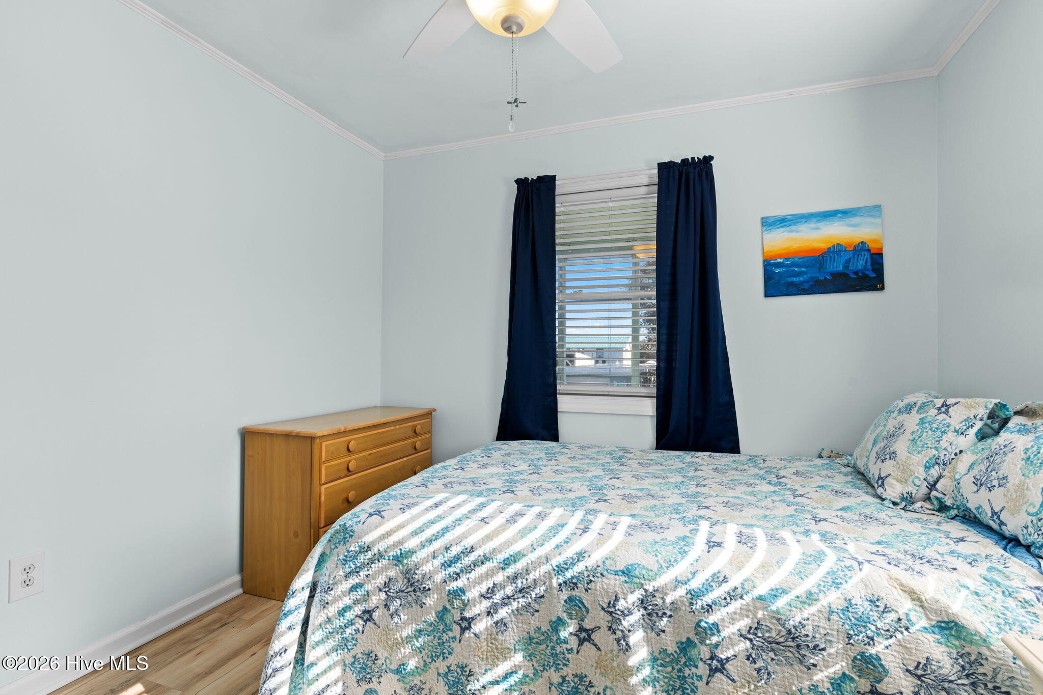 100546377 | Photo 16