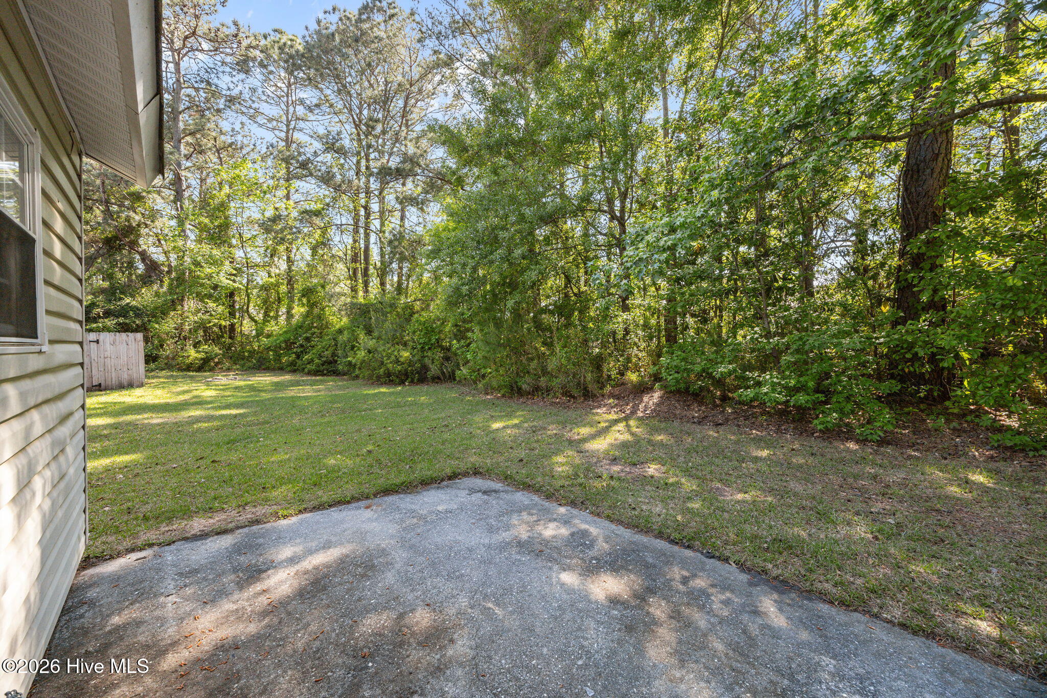 100560732 | Photo 16