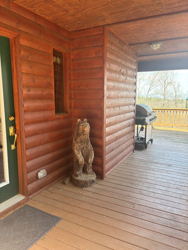 380 Buck Ridge Drive, Murphy, NC 28906 Listing Photo  3