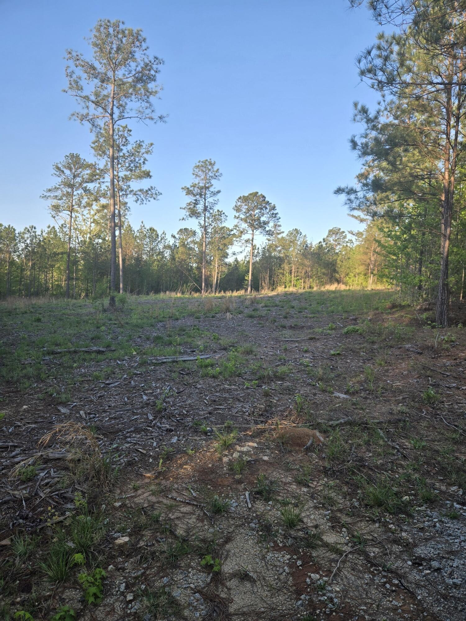 0 Sweetgum, Lincolnton, Georgia, 0 ,Residential Lot,For sale,Sweetgum,98224292 0 Sweetgum, Lincolnton, Georgia, 0 ,Residential Lot,For sale,Sweetgum,98224292