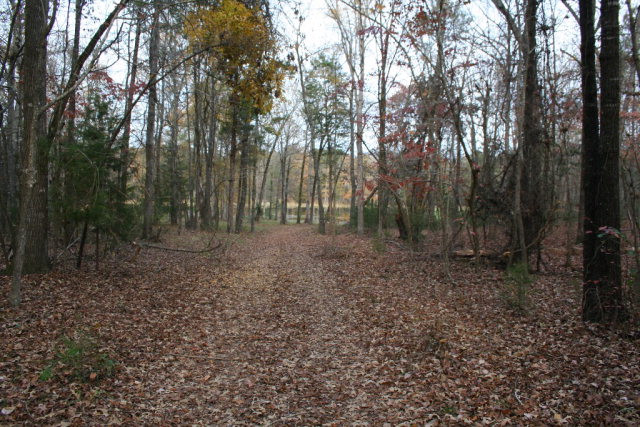 Double Branches Road, Lincolnton, GA 30817 Listing Photo  2
