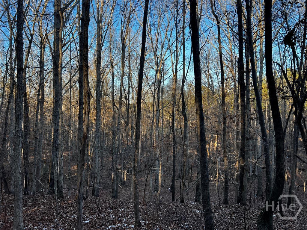 2285 Cherokee Road, Comer, GA, 30629