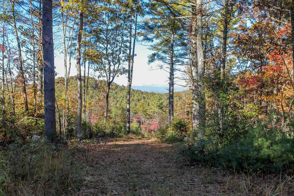 Listing Photo 98524877