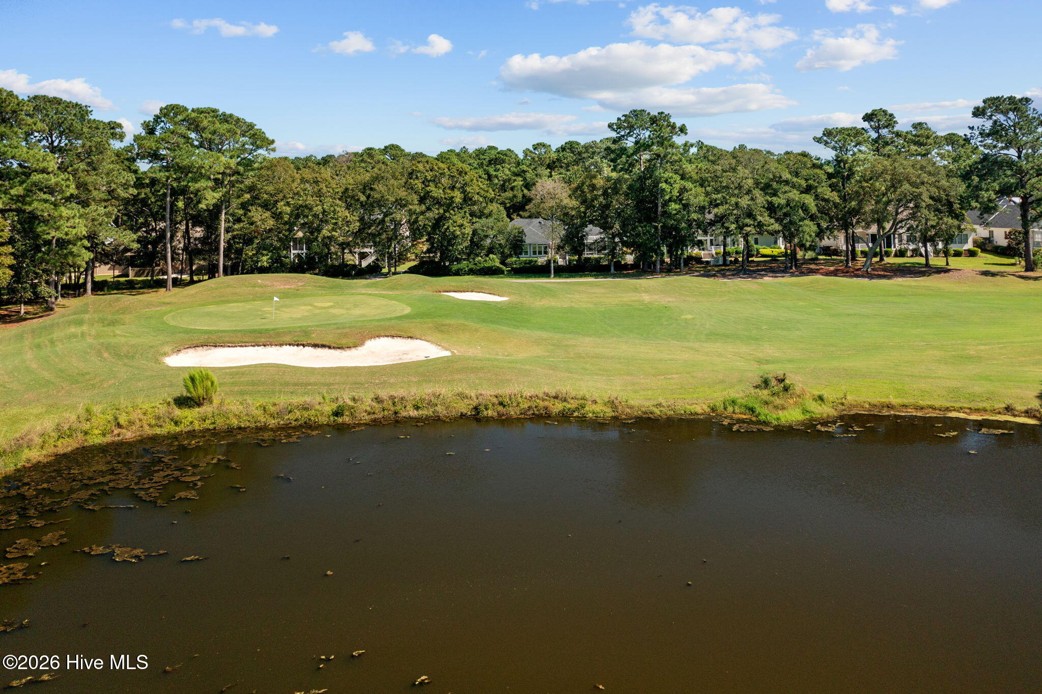 100559711 | Photo 63