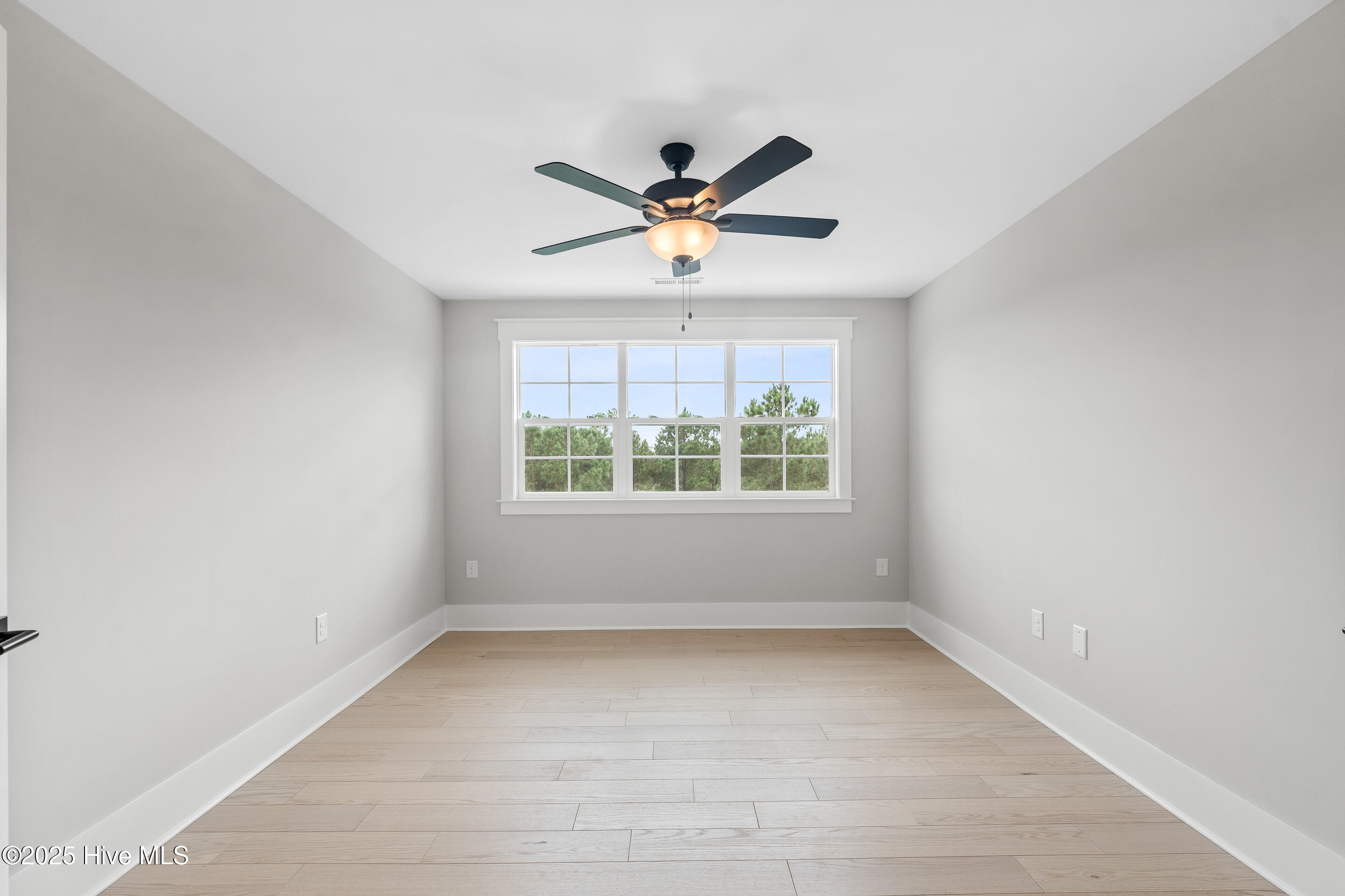 100517421 | Photo 32