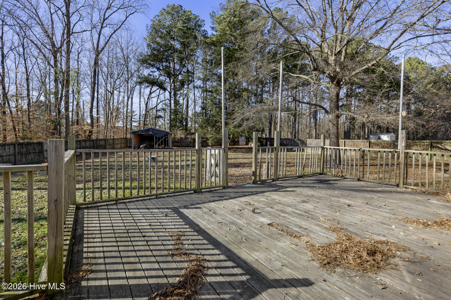 100550172 | Photo 23