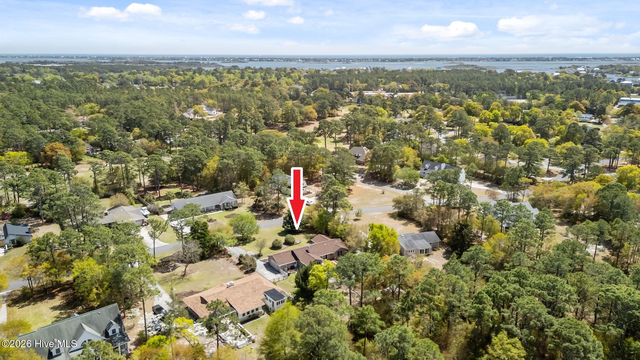 100566474 | Photo 56