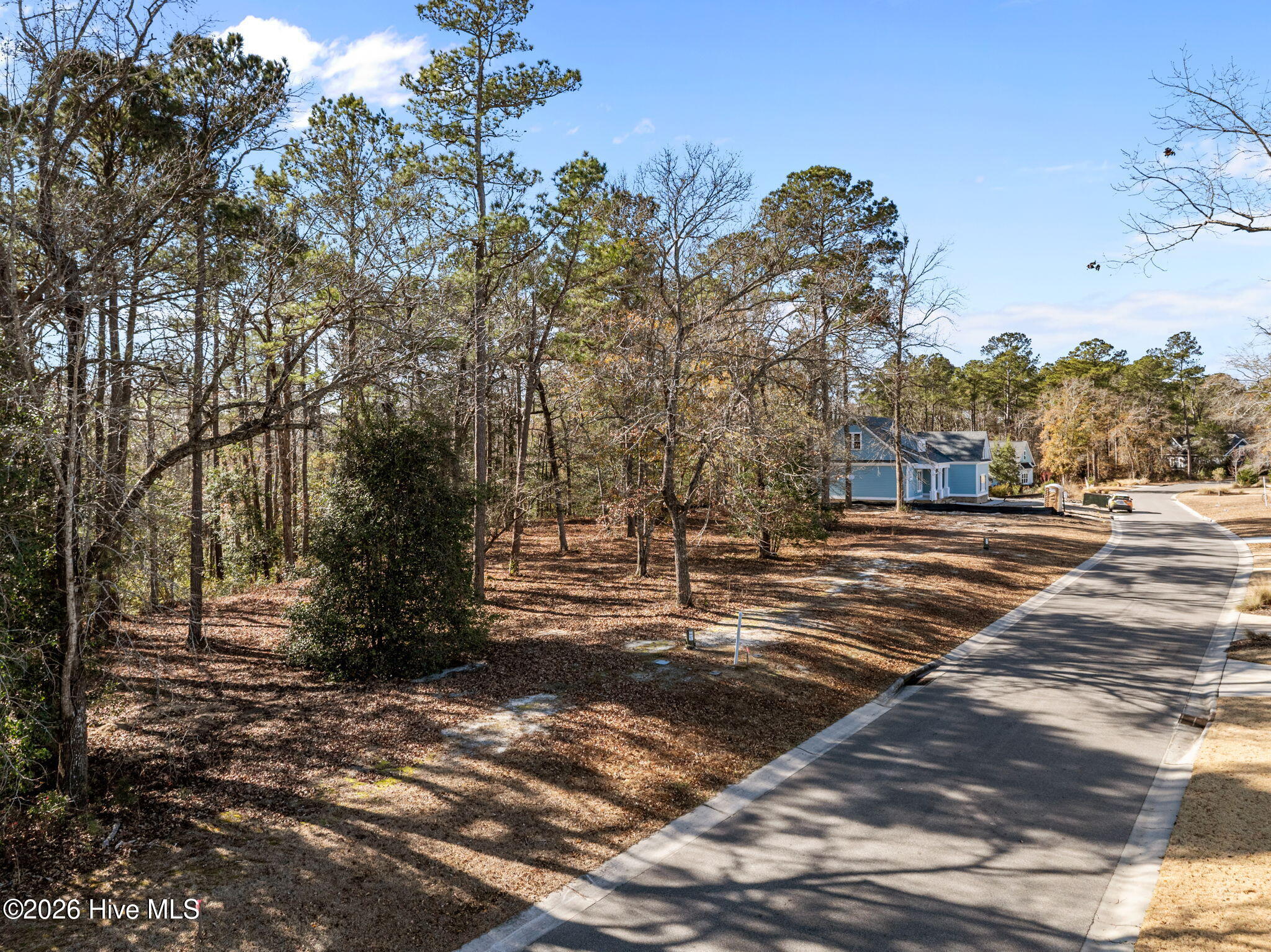 100547475 | Photo 24