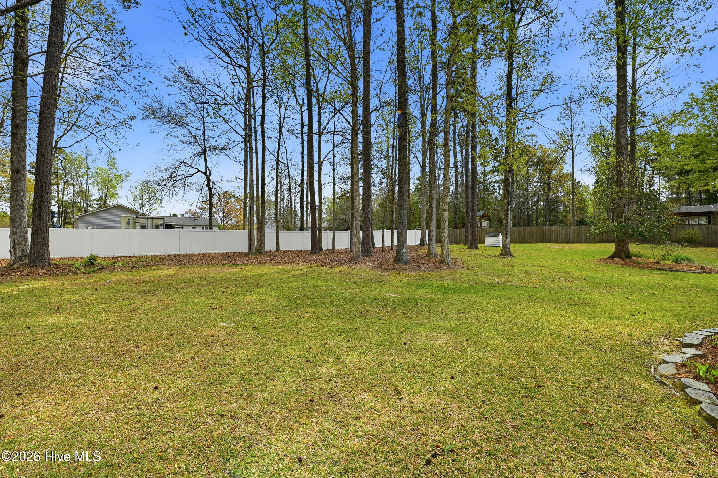 100562256 | Photo 42