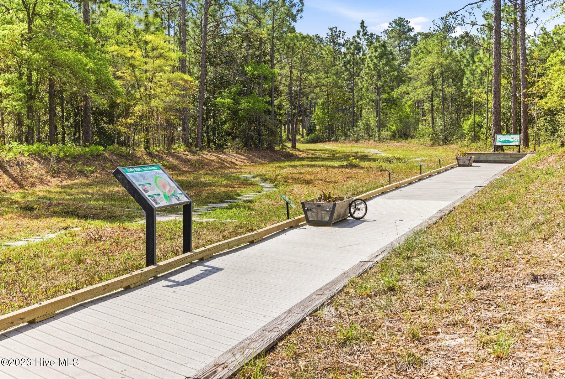 100566257 | Photo 43