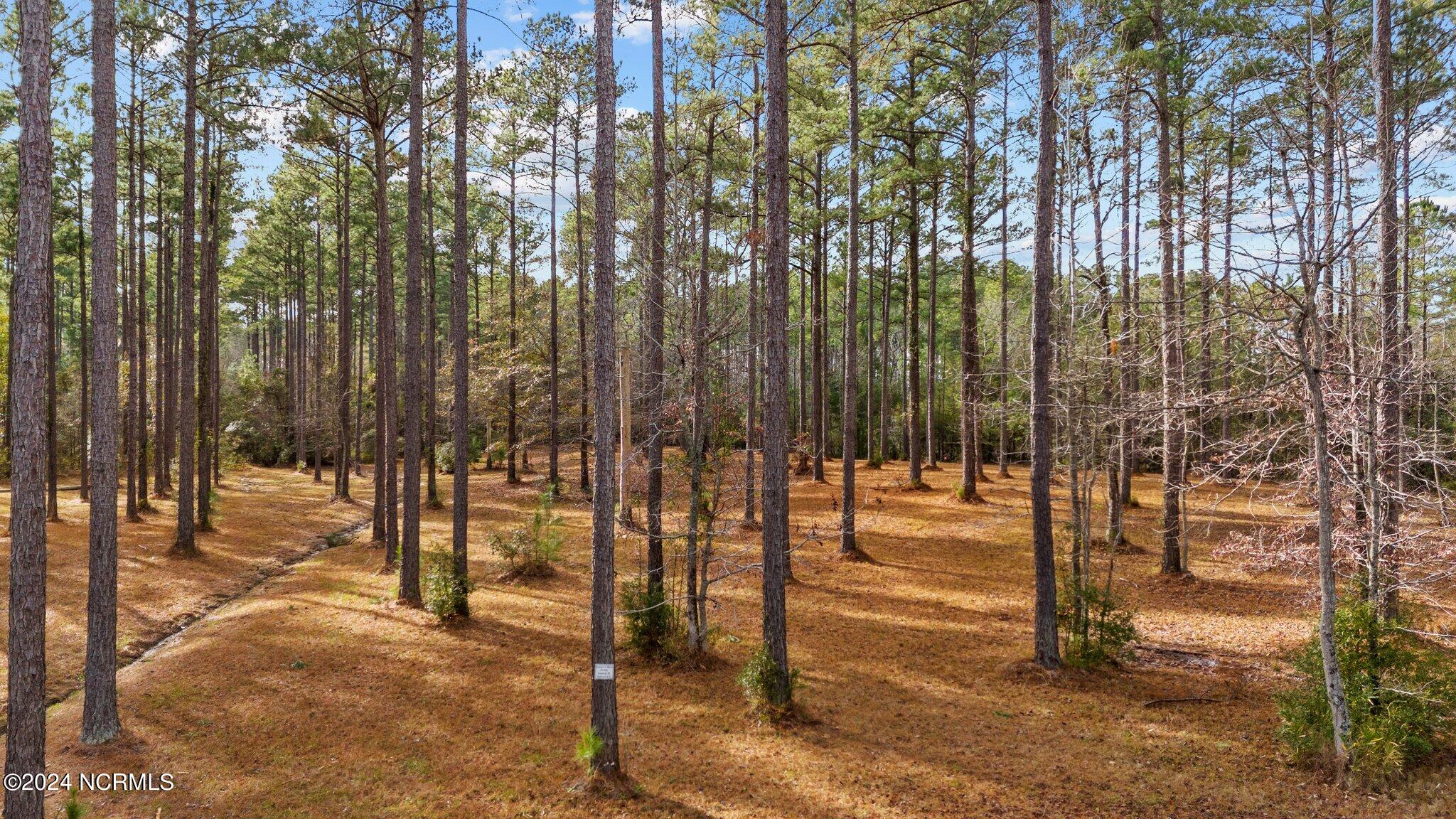 137 Lot 31 Ocracoke Drive,Oriental