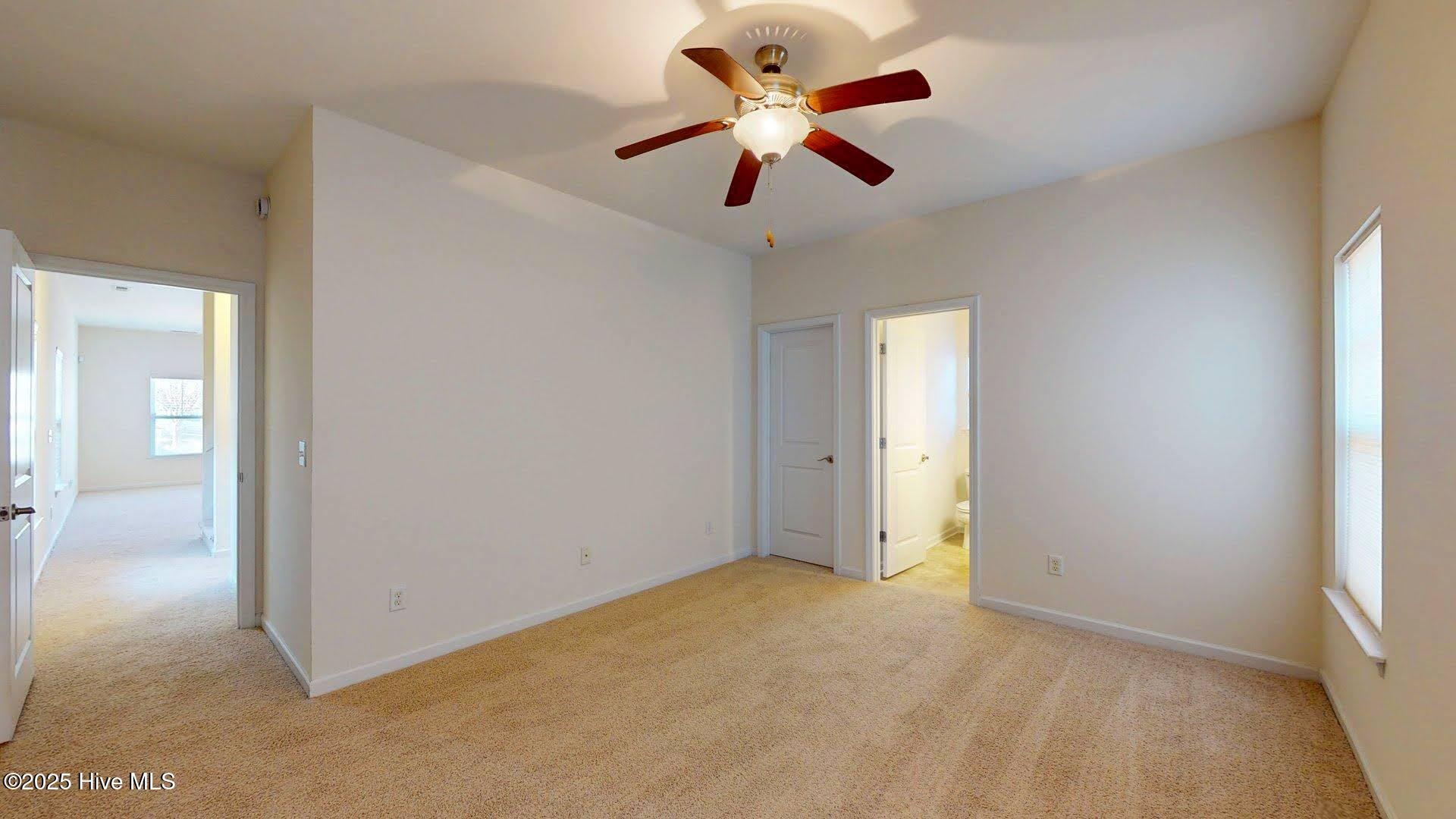 100546464 | Photo 17