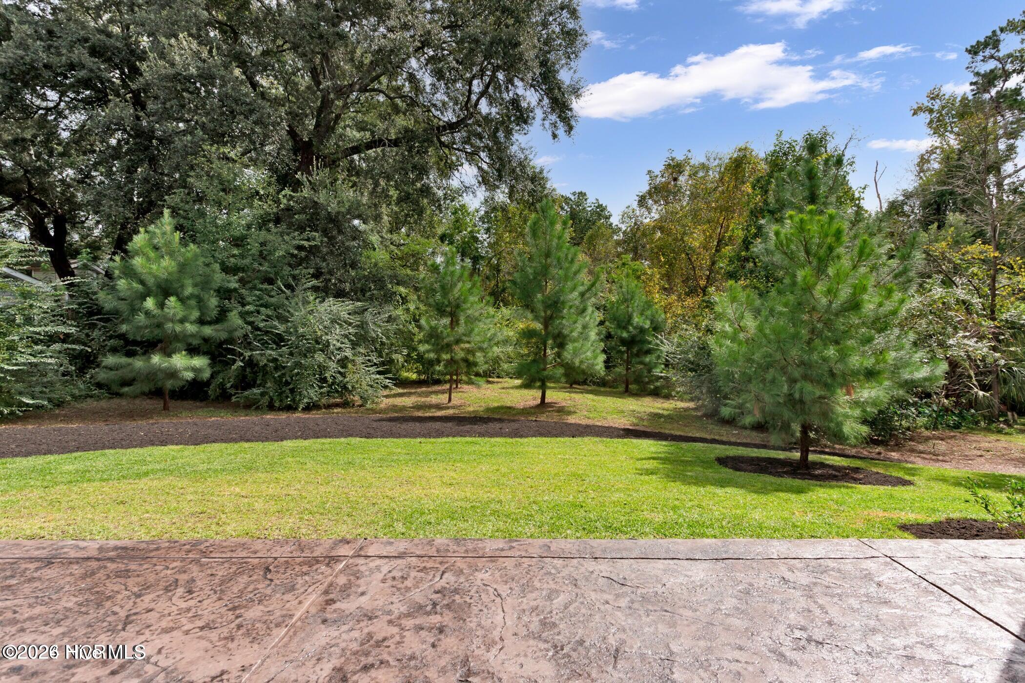 100551048 | Photo 33