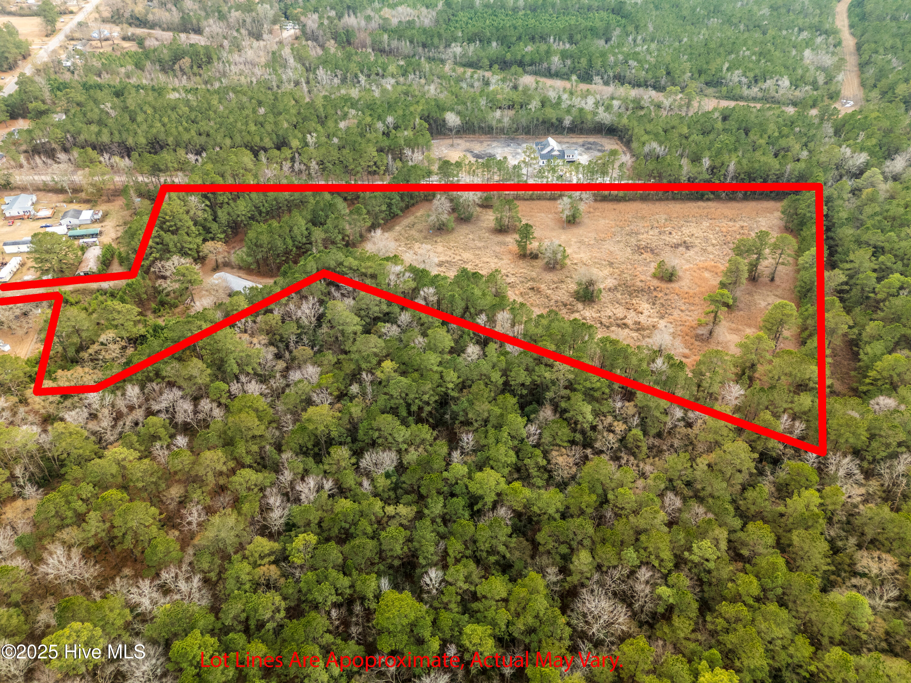 100546785 | Photo 14