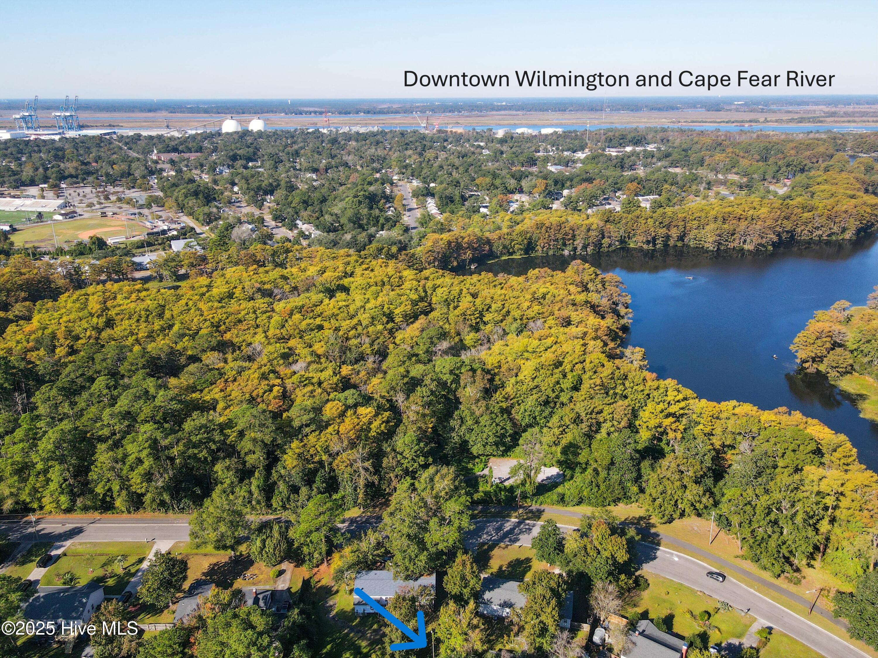 100537869 | Photo 74