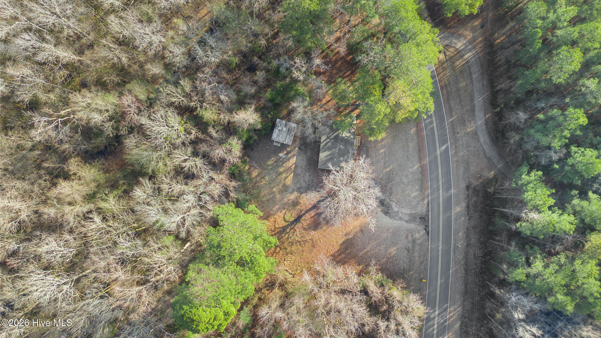 100553341 | Photo 35