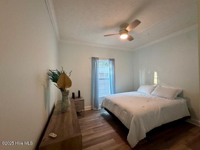 100545035 | Photo 38