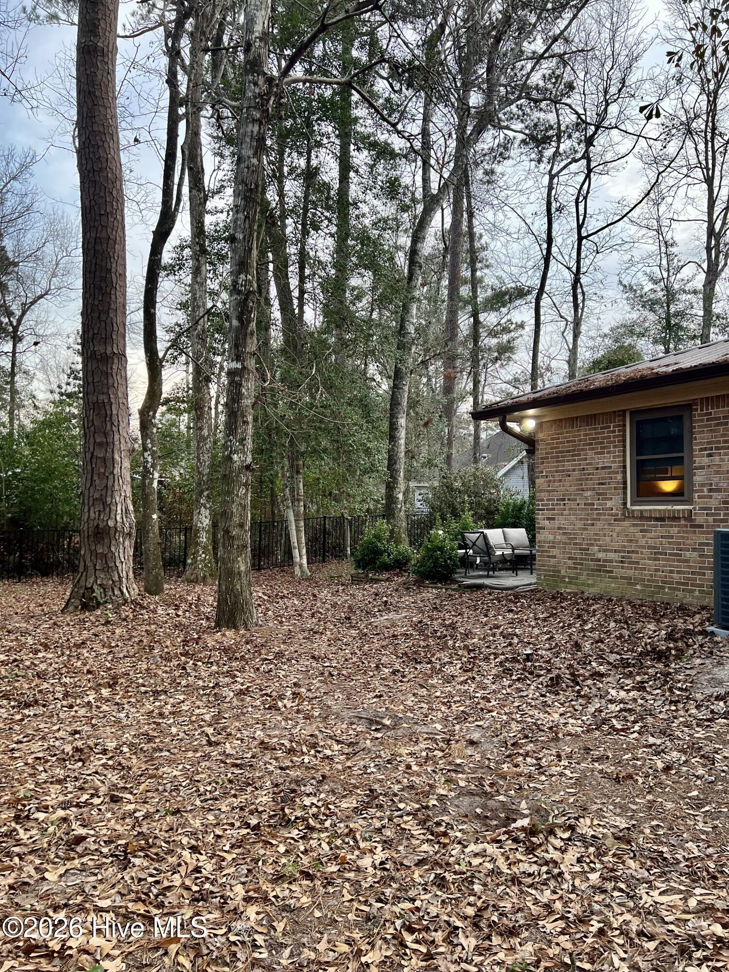 100564065 | Photo 34