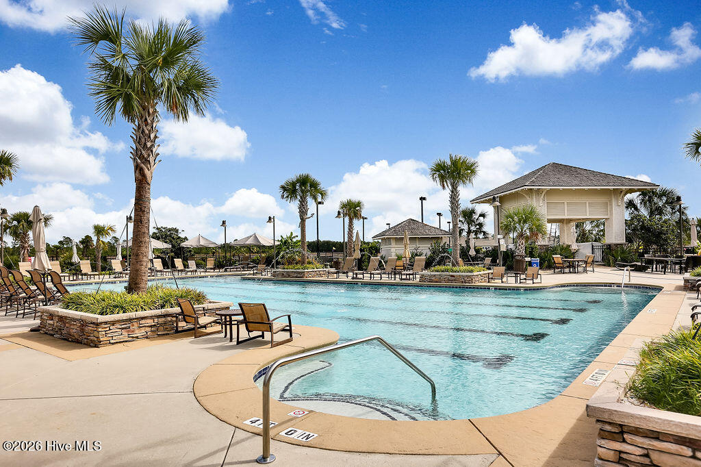 100555055 | Photo 61