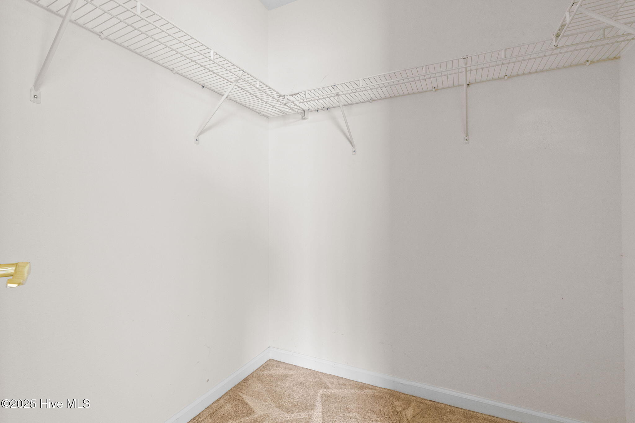 100536152 | Photo 31