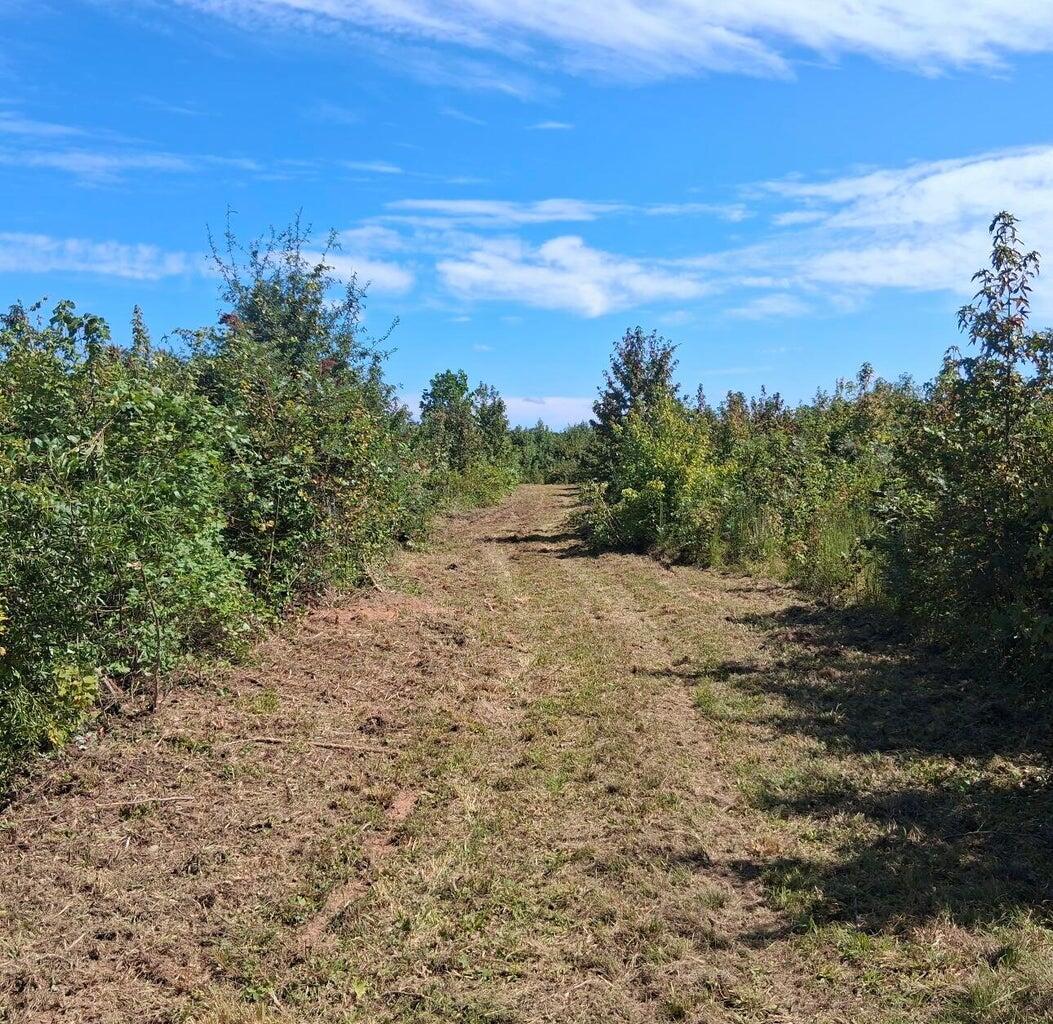 Homes for sale in Troy, SC | 30a Bowie Rd, Troy, SC 29848 | MLS# 549699