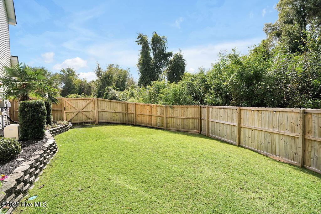 100536880 | Photo 44