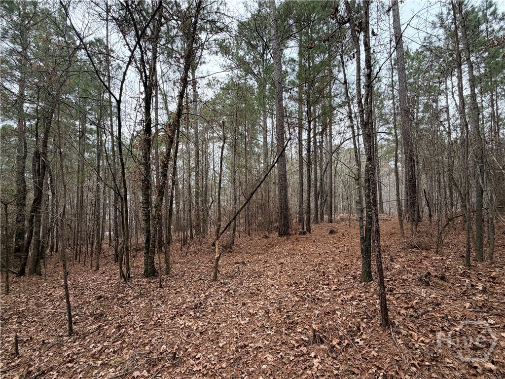 Homes for sale in Greensboro, GA | 1700 Northwoods Dr, Greensboro, GA 30642 | MLS# CL350245