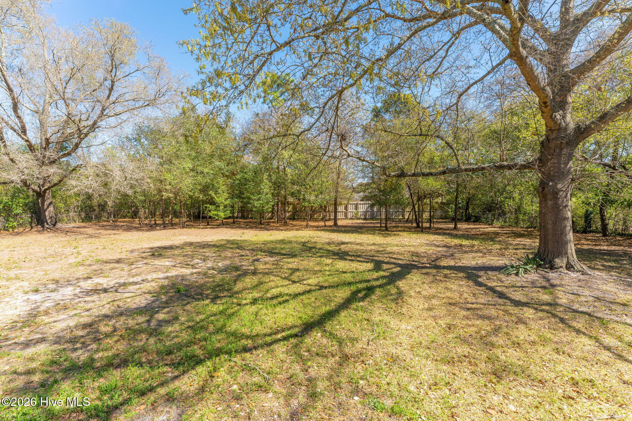 100561167 | Photo 38