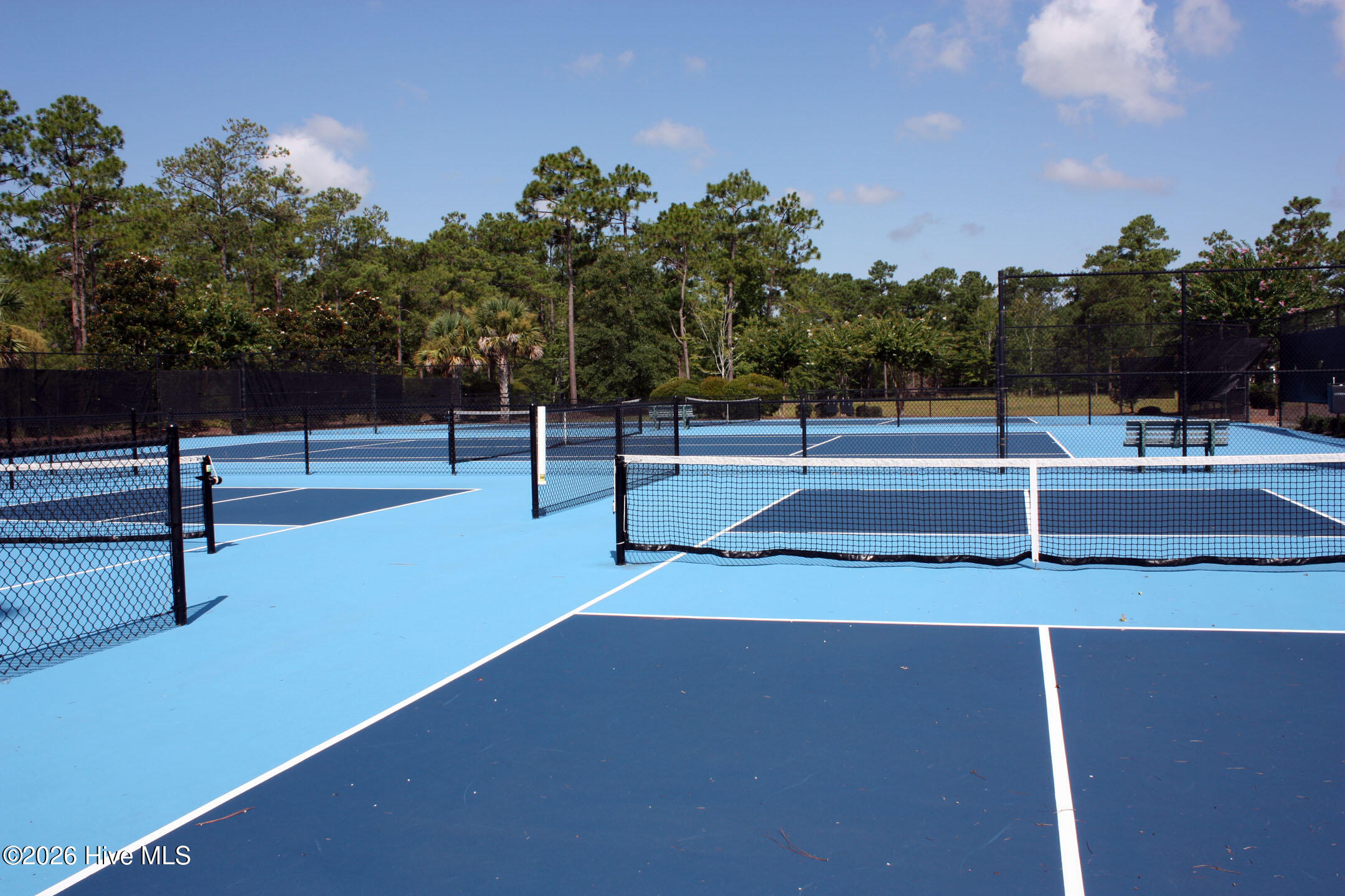 100548698 | Photo 23