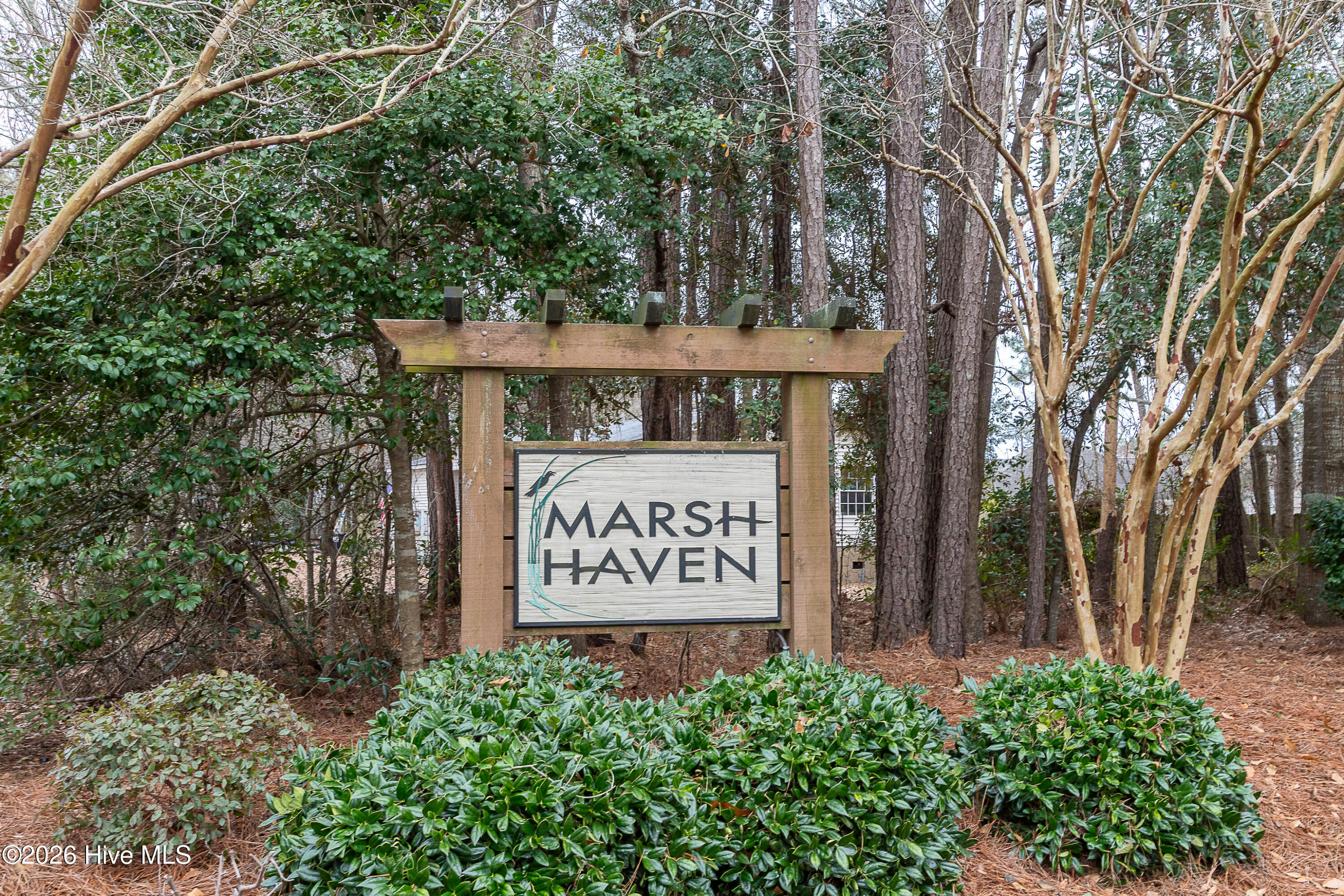 100559687 | Photo 42