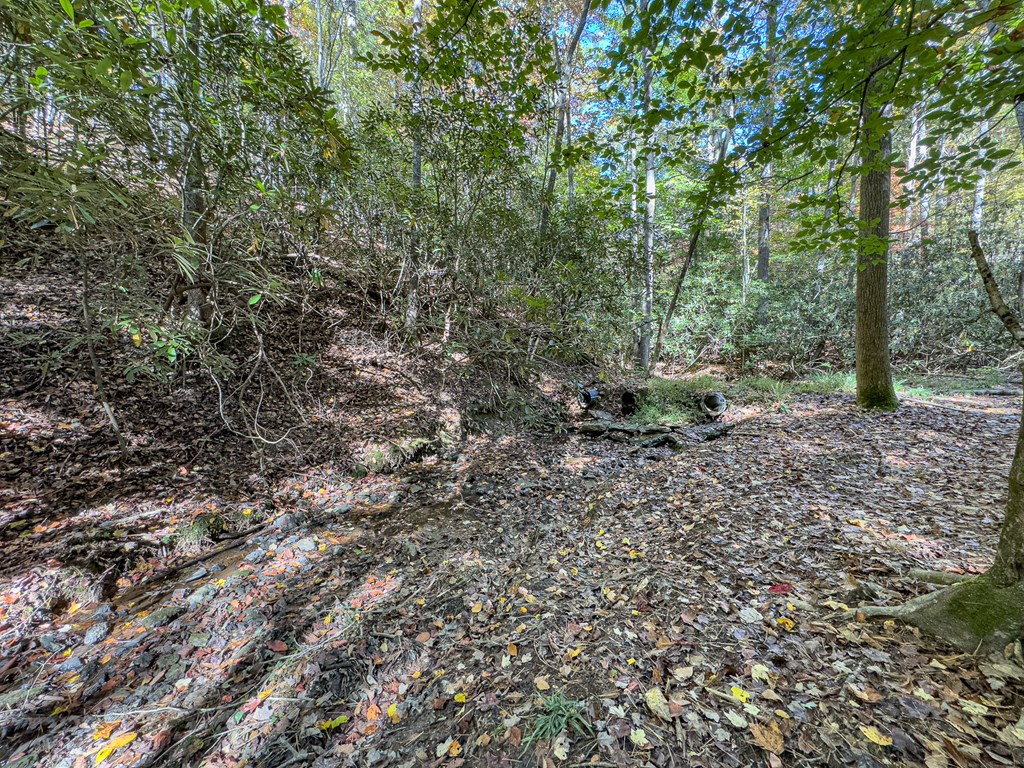 614 Rockridge Road, Murphy, NC 28906 Listing Photo  69