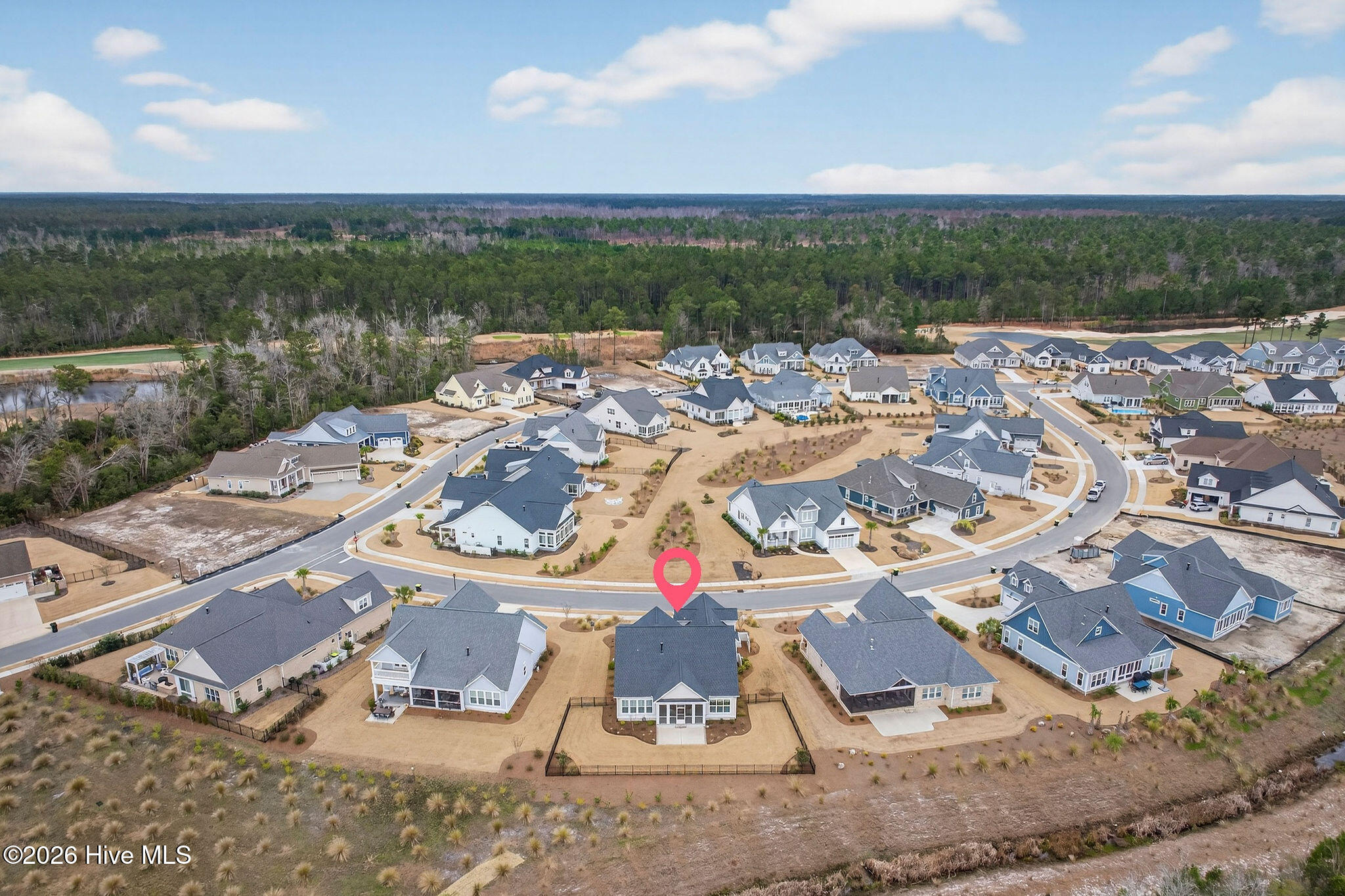 100556819 | Photo 45