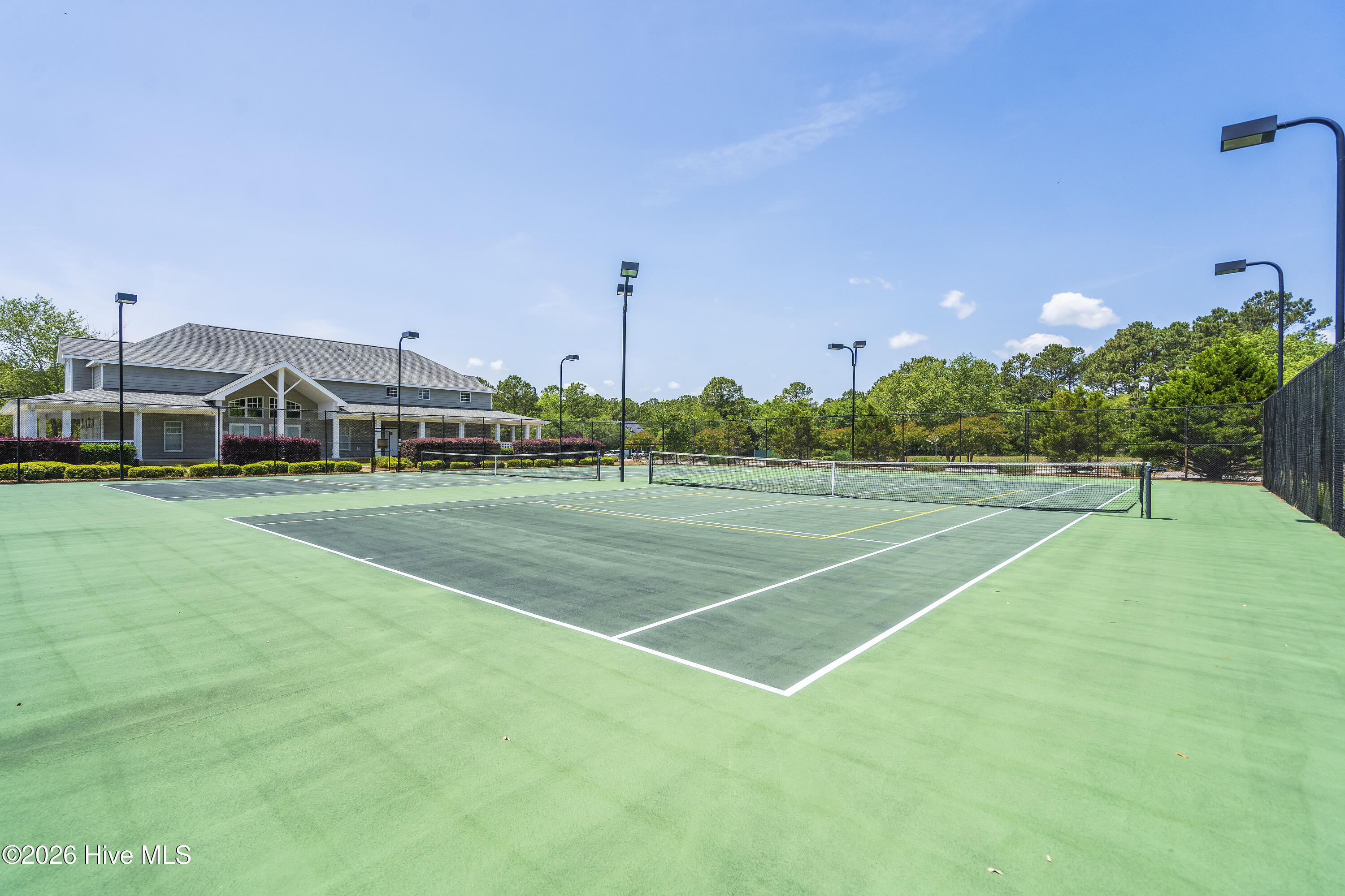 100562110 | Photo 113