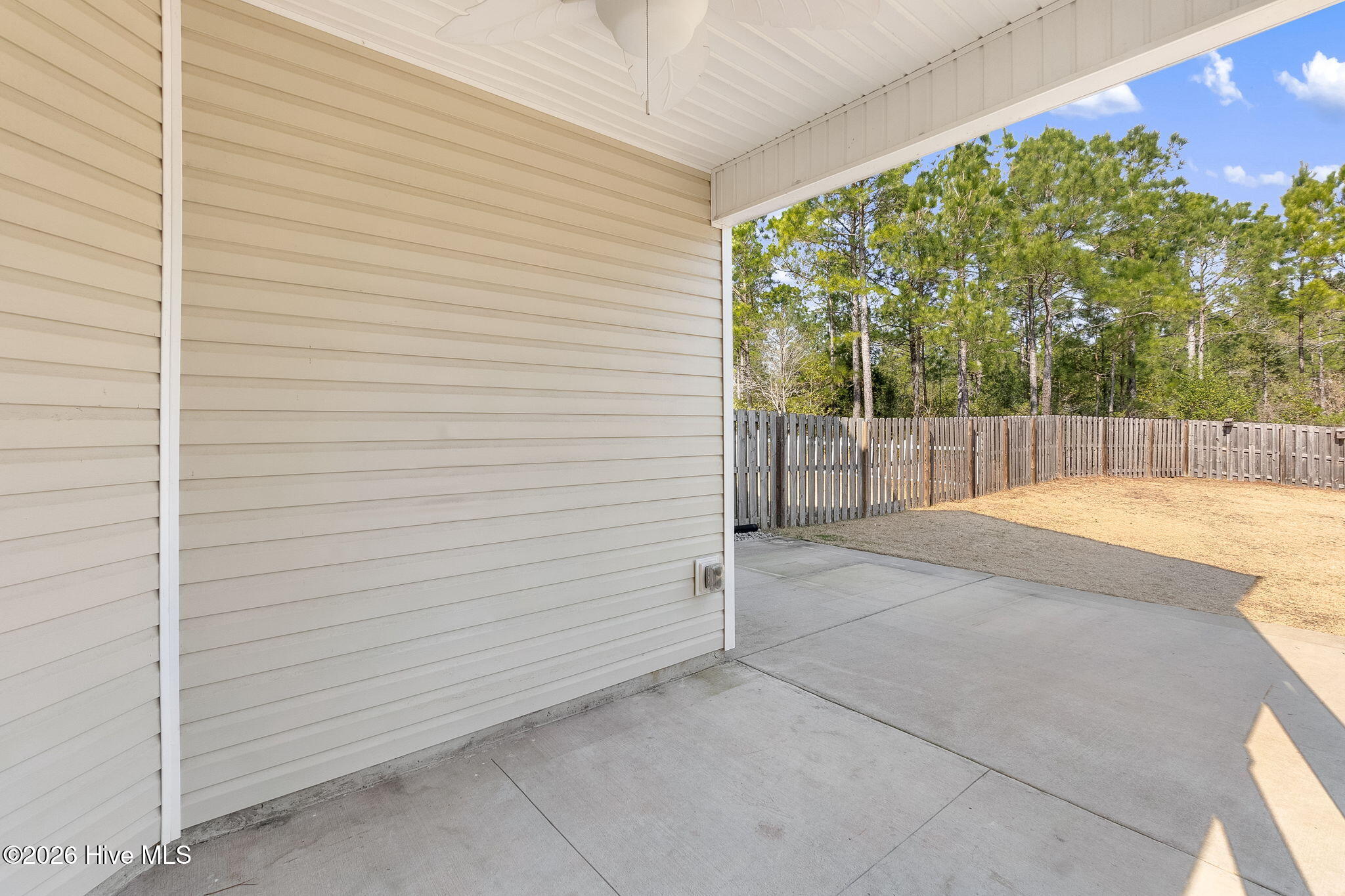 100558093 | Photo 30